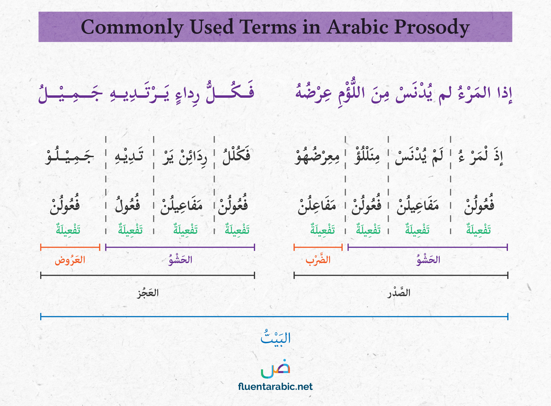 Scan english translation arabic to How To
